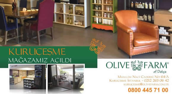 Olive Farm