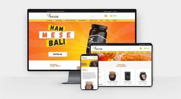 Balkan Bal Evi projesinin ekran görüntüleri